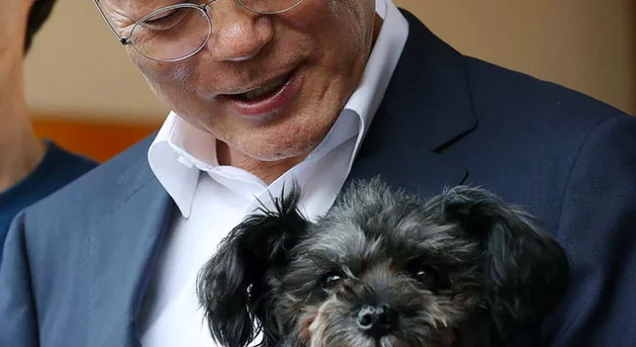 Corea del Sud, stop alla carne di cane nei piatti